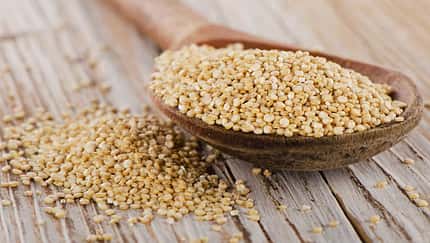 Fatburner Quinoa