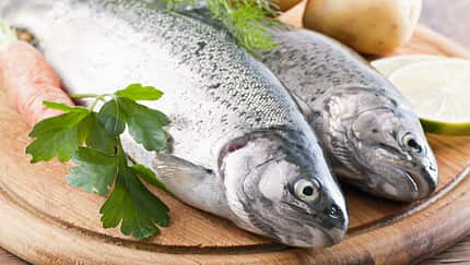 1 Portion Forelle (150 Gramm) liefert immerhin 2,6 Milligramm Vitamin E