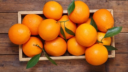 Orangen Orangen