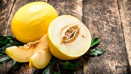 Honigmelone Honigmelone