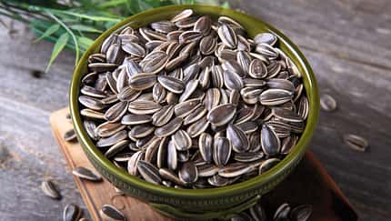 Sonnenblumenkerne Sonnenblumenkerne