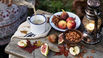 Kleine Kerne, große Wirkung