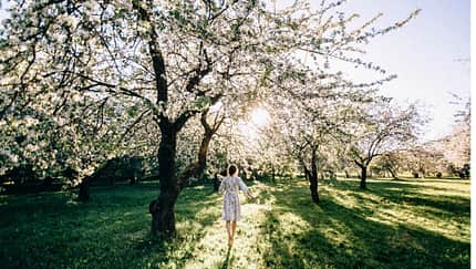 Eine junge Frau spaziert im Frühling zwischen blühenden Bäumen 