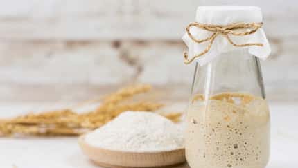 Sauerteig und Darm: Warum fermentiertes Brot bekömmlicher ist