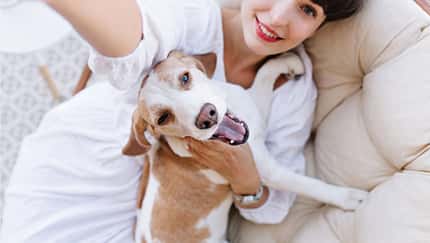 Darum lebt man mit Hund gesünder