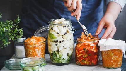Fermentieren ist Trend!