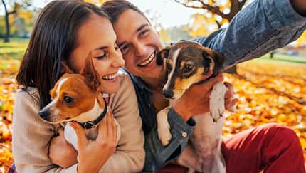 Wie ein Hund Ihnen helfen kann, die Liebe zu finden