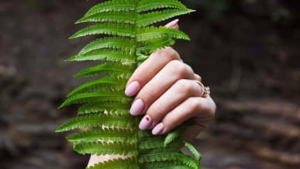 Handcremes im Test