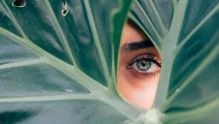 So funktioniert eine Wimpernverlängerung