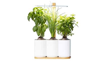 Indoor-Garten für die Küche 