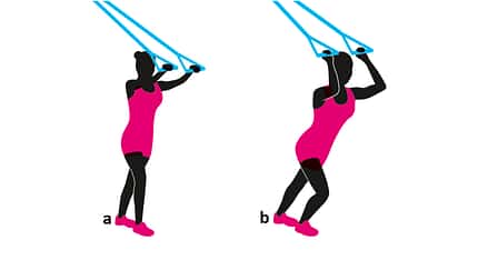 Schlingentraining Sling Training Schlingentrainer