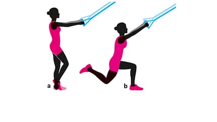 Schlingentrainer Sling Training Schlingentraining