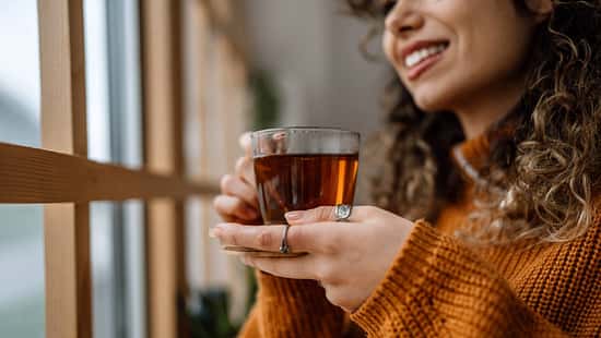 Detox-Trend im Check