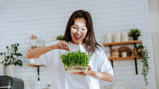 Anti-Aging: Microgreens gegen vorzeitige Hautalterung 