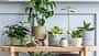 open space,stool,dining room,white,armchair,furniture,chairs,wood,decoration,sofa,table lamp,contemporary,carpet,desk,plant,indoor,dog,template,showcase interior,house,interior,gray,modern,scandinavian interior,decor,tea pot,design,living room,floor,map,table,architecture,home staging,living,mock up,chair,accessories,home decor,lamp,mockup,room,home,stylish,interior design,wooden,candle,luxury,picture frame,wood paneling,apartment Interior,Design,Of,Living,Room,With,Wooden,Console,,Beautiful,Composition