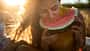Eine junge Frau sitzt in der Sonne und isst eine Wassermelone. Eine junge Frau sitzt in der Sonne und isst eine Wassermelone.