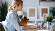 Ja, ein Hund sorgt für Bewegung im Homeoffice, um Rückenschmerzen vorzubeugen braucht es aber auch clevere Arbeits- und Mobilitäts-Tools