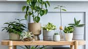 Interior,Design,Of,Living,Room,With,Wooden,Console,,Beautiful,Composition