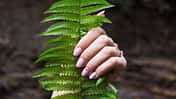 Handcremes im Test Handcremes im Test