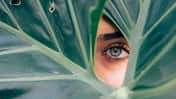 So funktioniert eine Wimpernverlängerung So funktioniert eine Wimpernverlängerung
