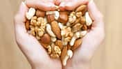 Radikalfänger Vitamin E schützt die Zellen 
